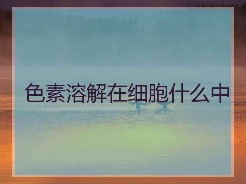 色素溶解在细胞什么中 色素溶解在细胞什么中