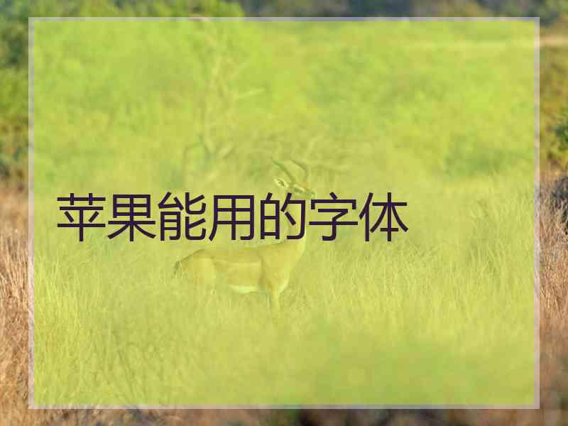 苹果能用的字体 苹果能用的字体