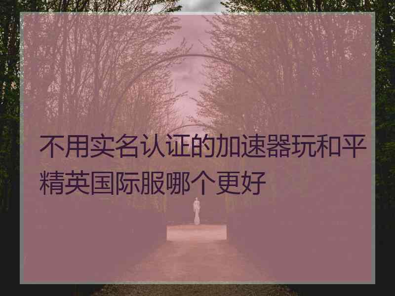 不用实名认证的加速器玩和平精英国际服哪个更好 不用实名认证的加速器玩和平精英国际服哪个更好