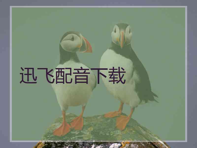 迅飞配音下载 迅飞配音下载