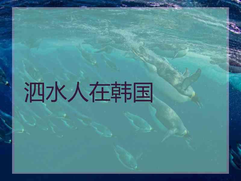 泗水人在韩国 泗水人在韩国