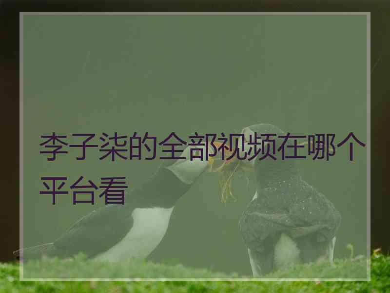 李子柒的全部视频在哪个平台看 李子柒的全部视频在哪个平台看