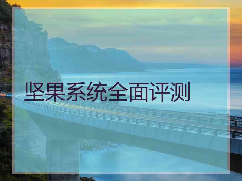坚果系统全面评测 坚果系统全面评测