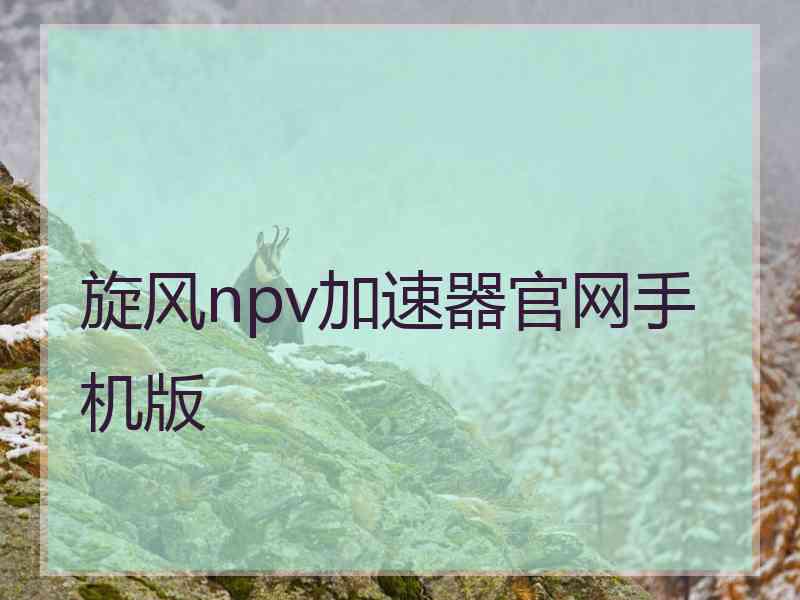 旋风npv加速器官网手机版 旋风npv加速器官网手机版