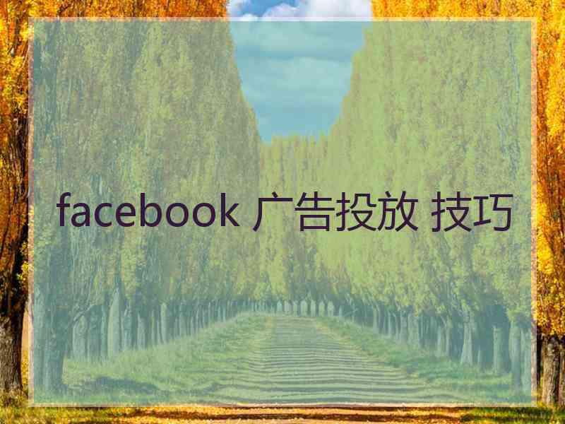 facebook 广告投放 技巧 facebook 广告投放 技巧