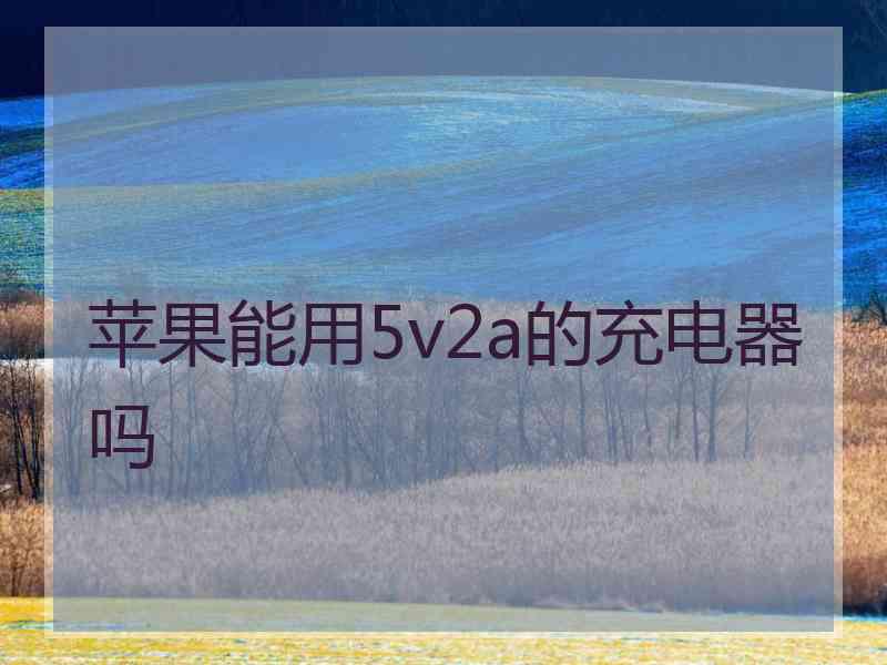 苹果能用5v2a的充电器吗 苹果能用5v2a的充电器吗