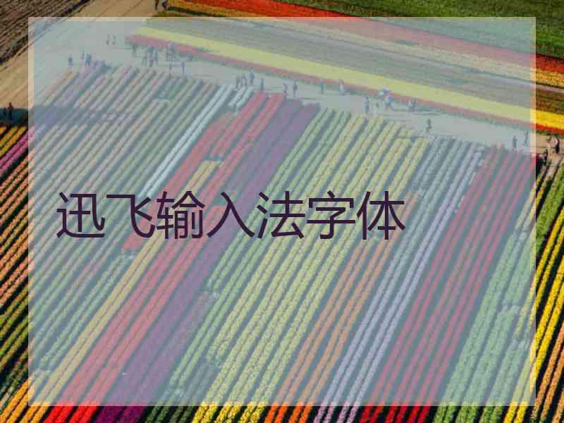迅飞输入法字体 迅飞输入法字体