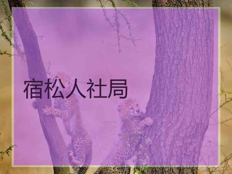 宿松人社局 宿松人社局