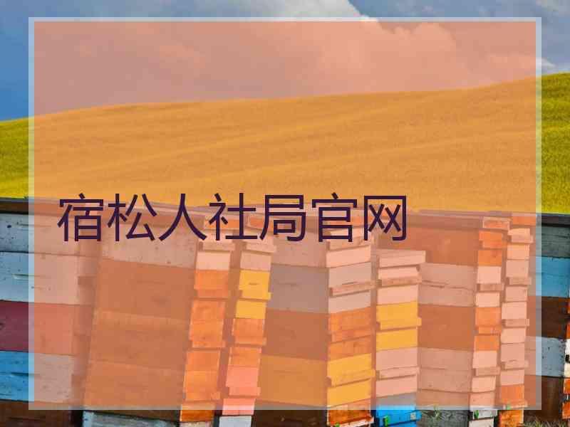 宿松人社局官网 宿松人社局官网