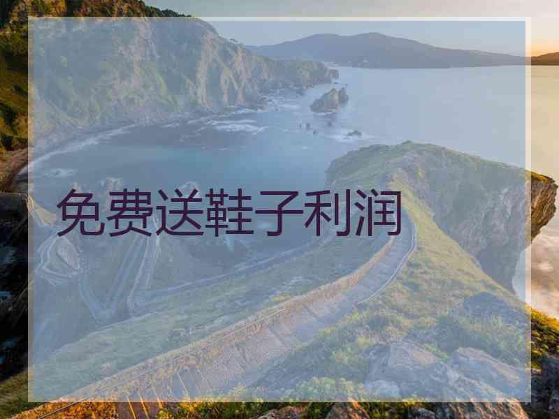 免费送鞋子利润 免费送鞋子利润