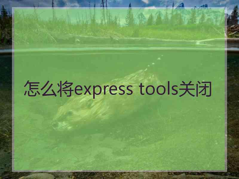怎么将express tools关闭 怎么将express tools关闭