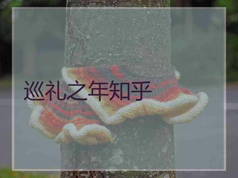 巡礼之年知乎 巡礼之年知乎