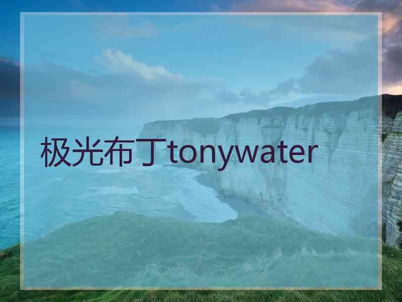 极光布丁tonywater 极光布丁tonywater