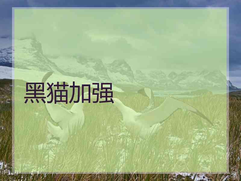 黑猫加强 黑猫加强