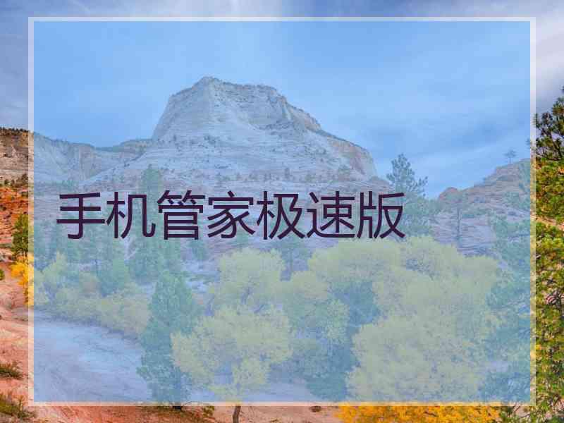 手机管家极速版 手机管家极速版