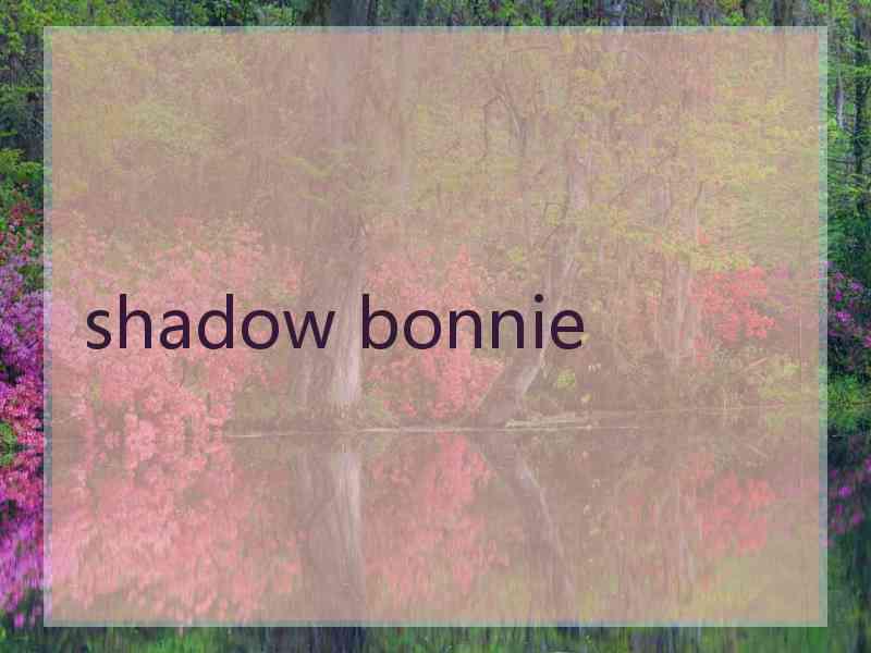 shadow bonnie shadow bonnie