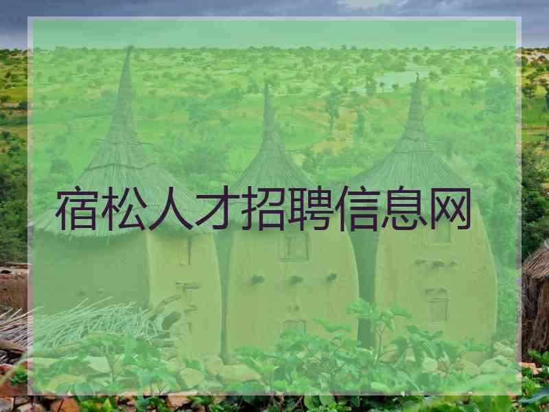 宿松人才招聘信息网 宿松人才招聘信息网