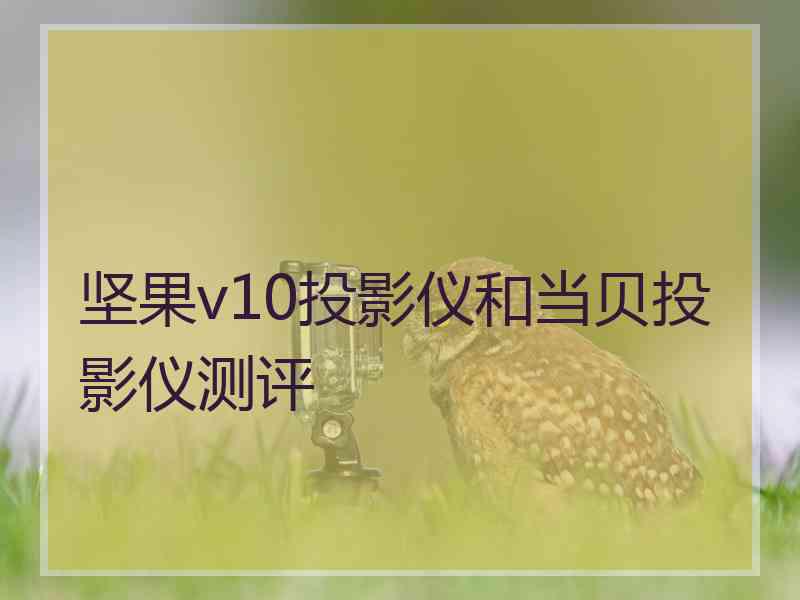 坚果v10投影仪和当贝投影仪测评 坚果v10投影仪和当贝投影仪测评