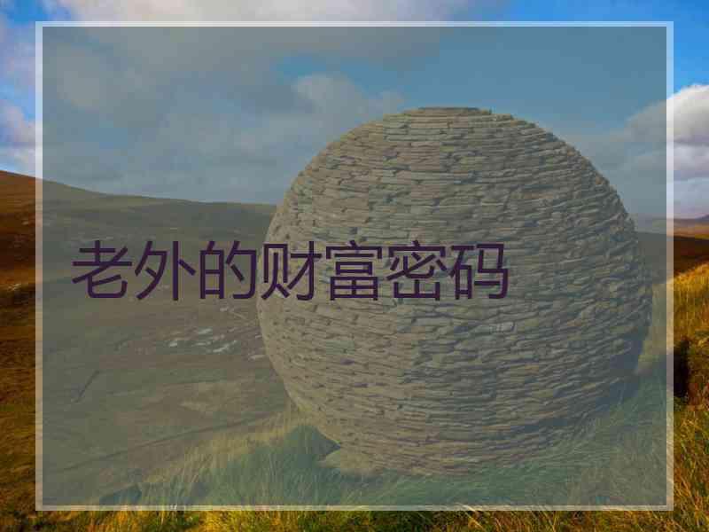 老外的财富密码 老外的财富密码