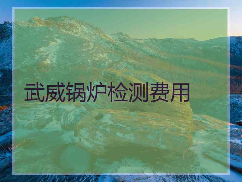 武威锅炉检测费用 武威锅炉检测费用