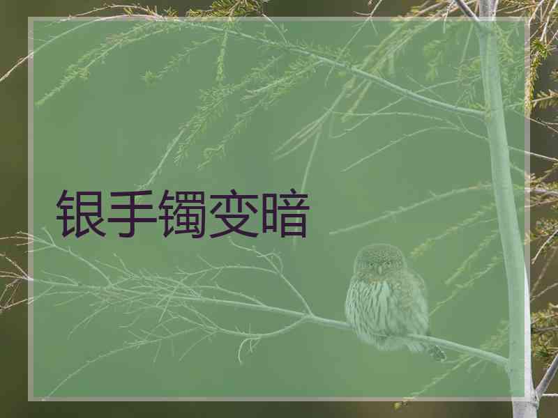 银手镯变暗 银手镯变暗