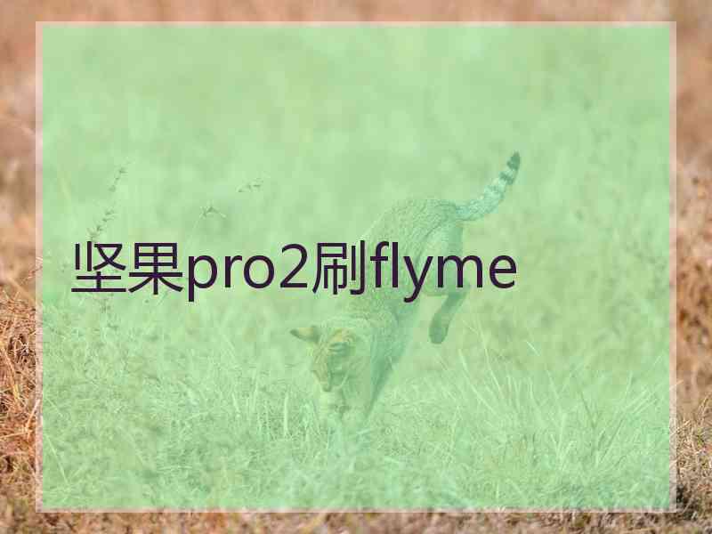 坚果pro2刷flyme 坚果pro2刷flyme