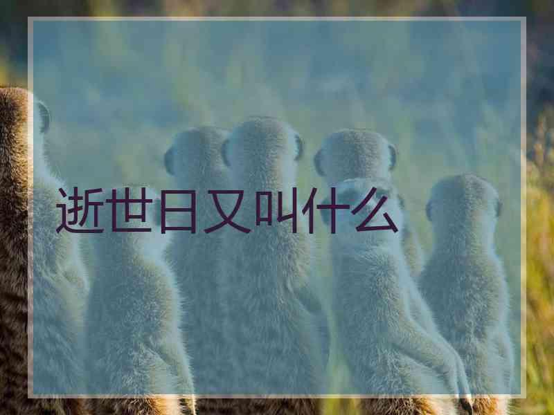 逝世日又叫什么 逝世日又叫什么