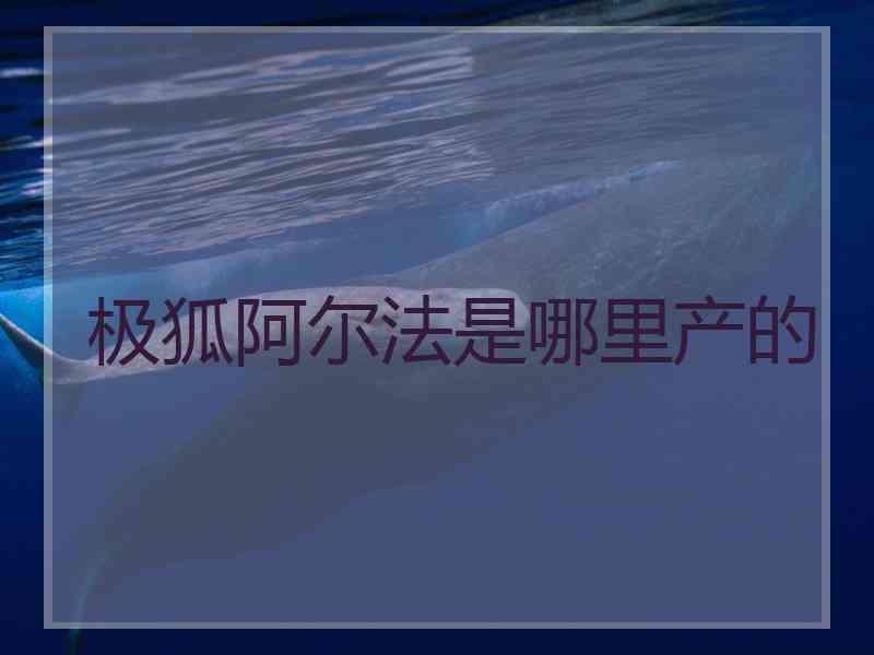极狐阿尔法是哪里产的 极狐阿尔法是哪里产的
