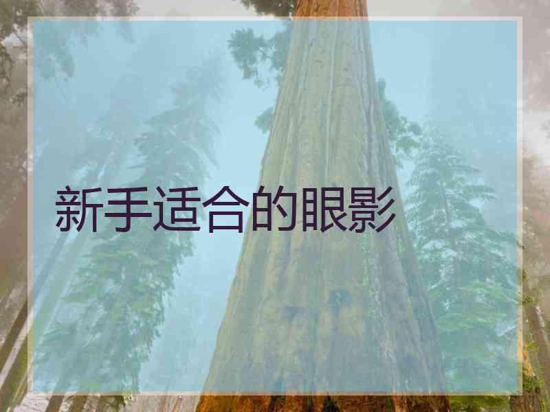 新手适合的眼影 新手适合的眼影