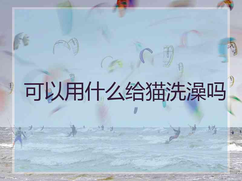 可以用什么给猫洗澡吗 可以用什么给猫洗澡吗