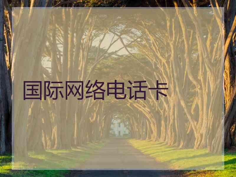 国际网络电话卡 国际网络电话卡