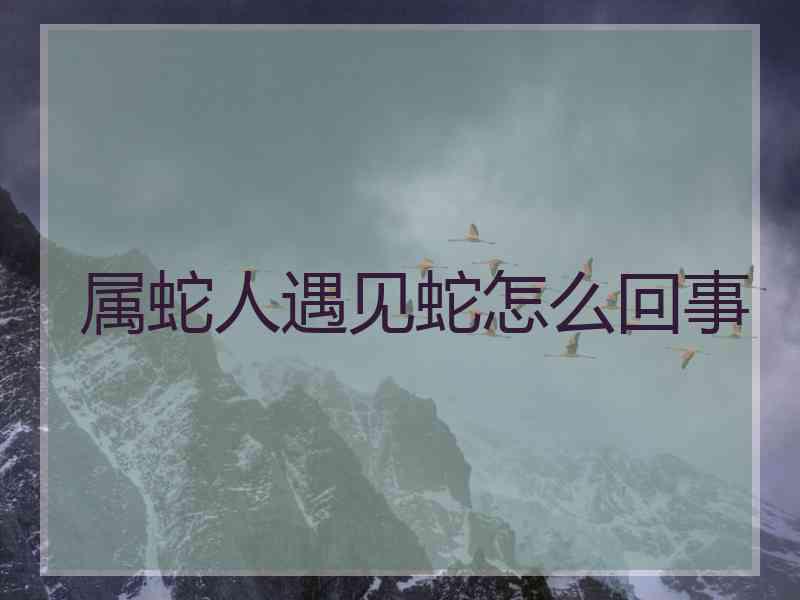 属蛇人遇见蛇怎么回事 属蛇人遇见蛇怎么回事