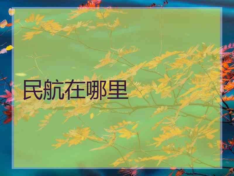 民航在哪里 民航在哪里