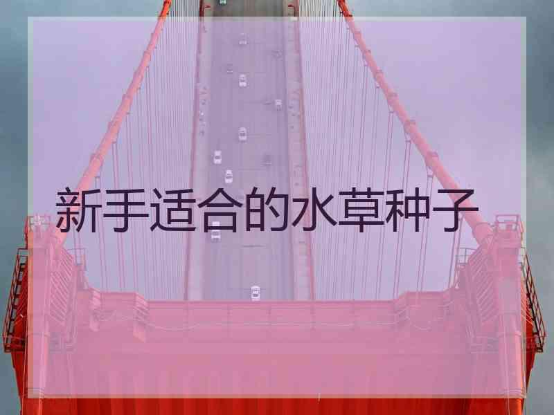 新手适合的水草种子 新手适合的水草种子