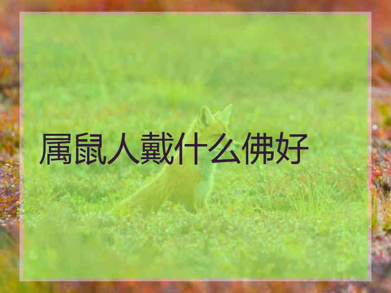 属鼠人戴什么佛好 属鼠人戴什么佛好