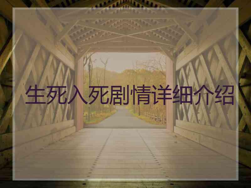 生死入死剧情详细介绍 生死入死剧情详细介绍