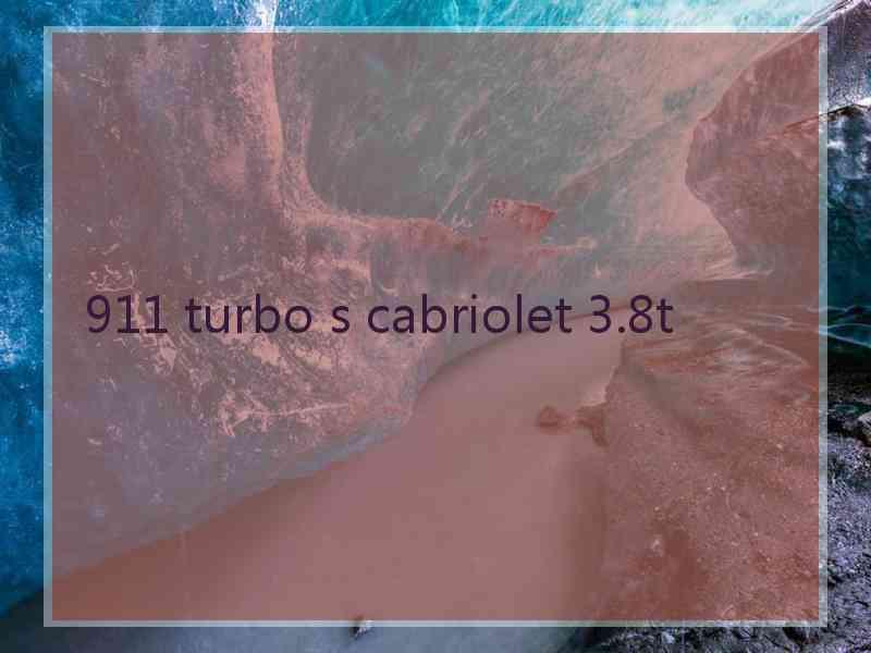 911 turbo s cabriolet 3.8t 911 turbo s cabriolet 3.8t