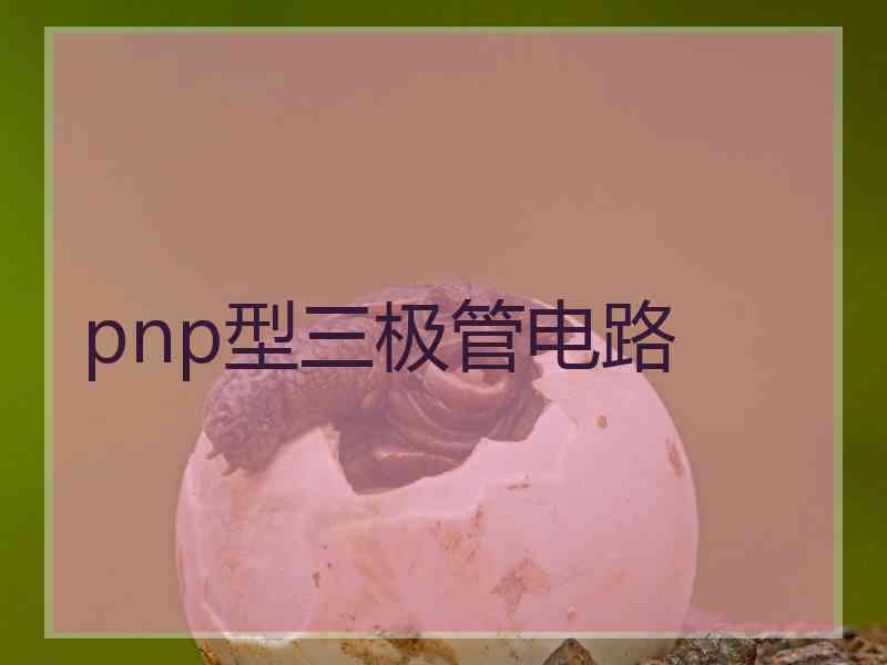 pnp型三极管电路 pnp型三极管电路