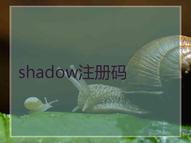 shadow注册码