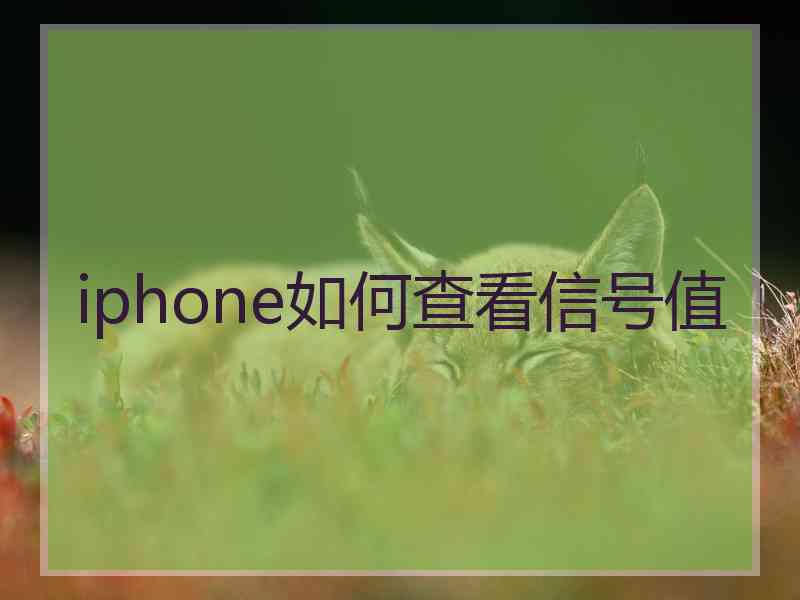 iphone如何查看信号值 iphone如何查看信号值