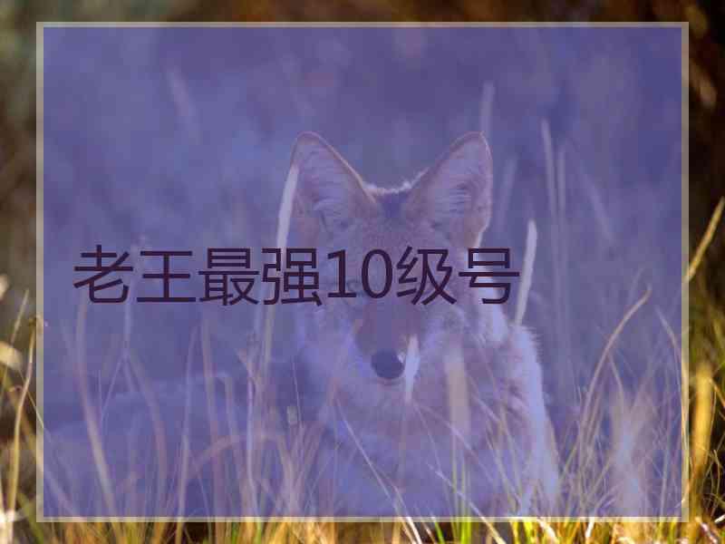 老王最强10级号 老王最强10级号