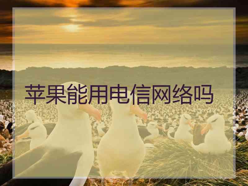 苹果能用电信网络吗 苹果能用电信网络吗