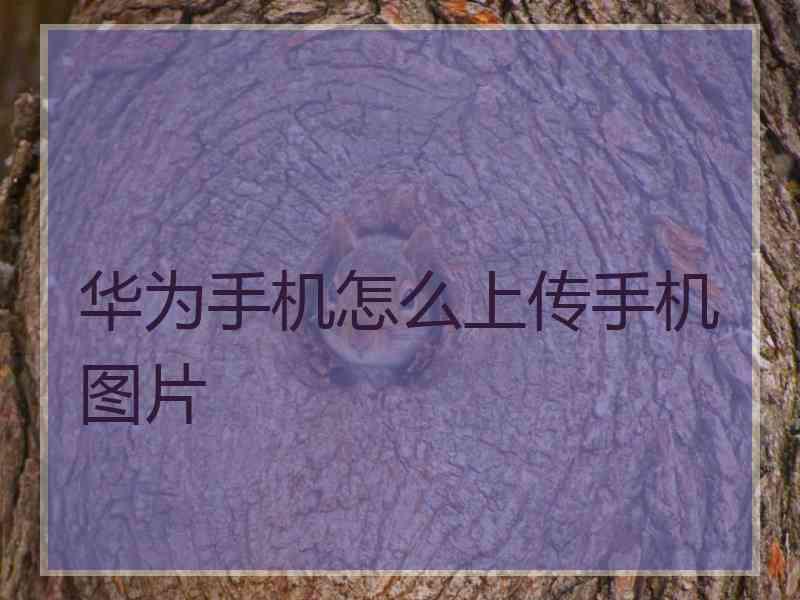 华为手机怎么上传手机图片 华为手机怎么上传手机图片