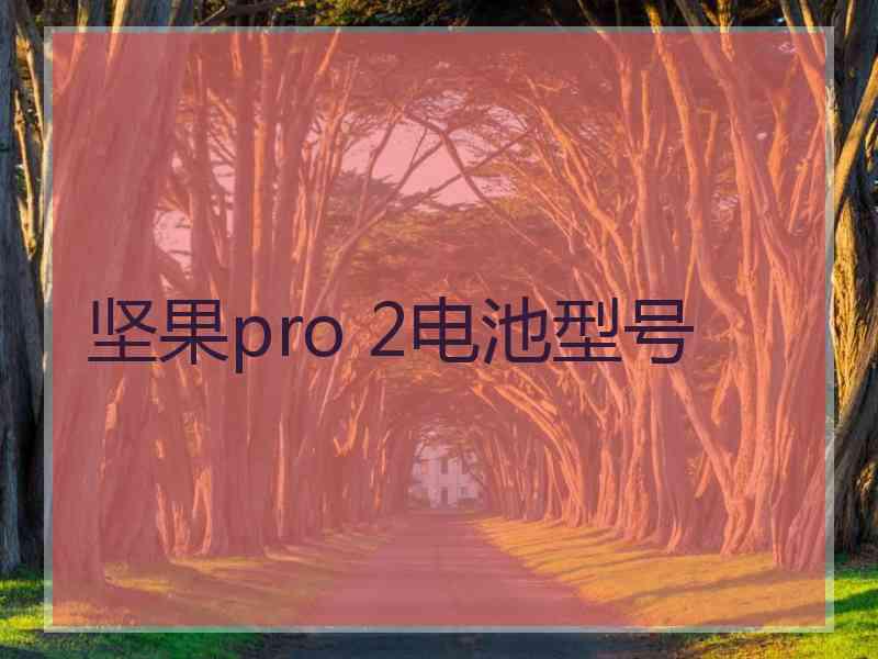 坚果pro 2电池型号 坚果pro 2电池型号