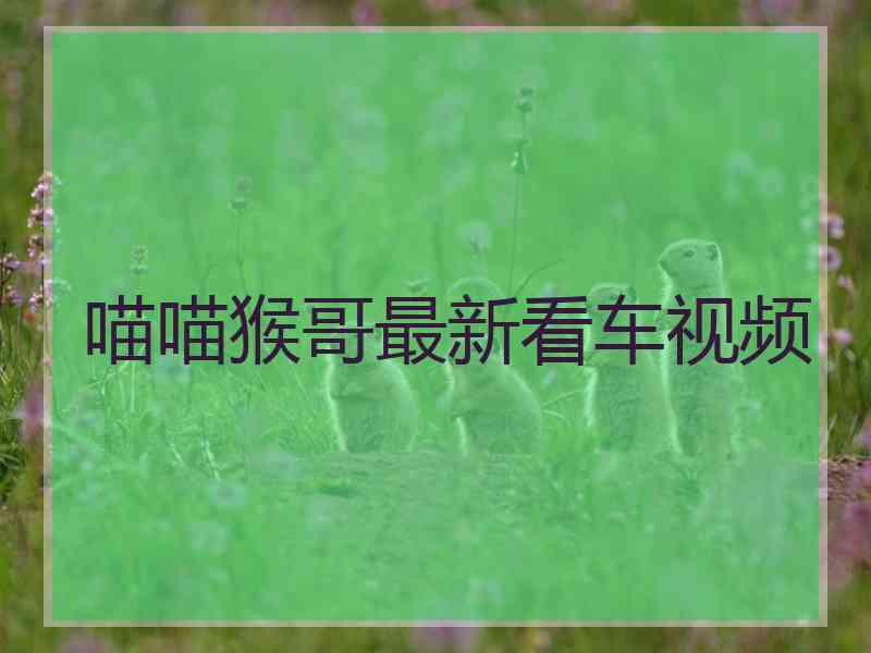 喵喵猴哥最新看车视频 喵喵猴哥最新看车视频