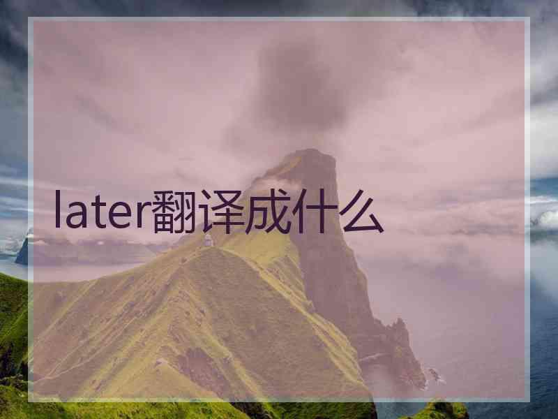 later翻译成什么 later翻译成什么