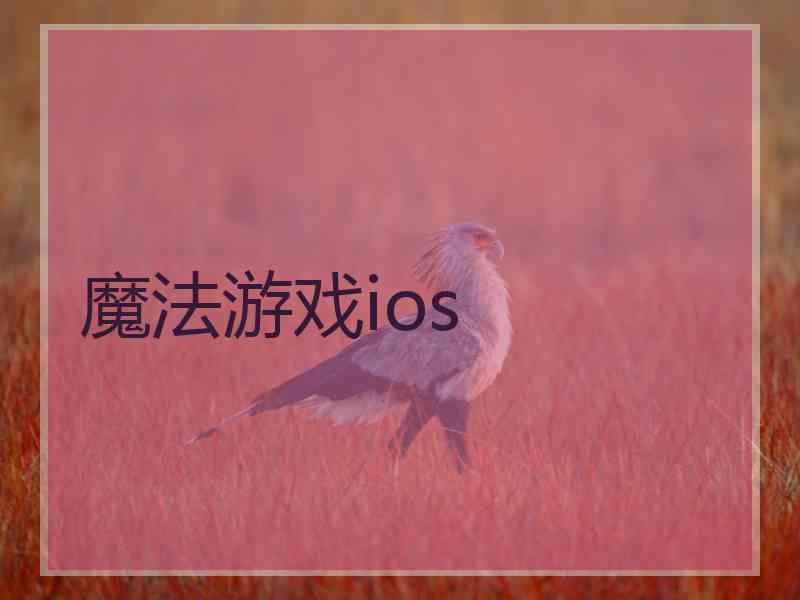 魔法游戏ios 魔法游戏ios