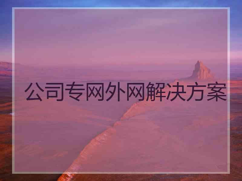 公司专网外网解决方案 公司专网外网解决方案
