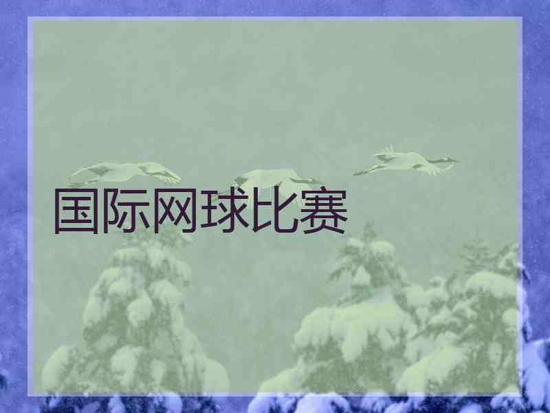 国际网球比赛 国际网球比赛