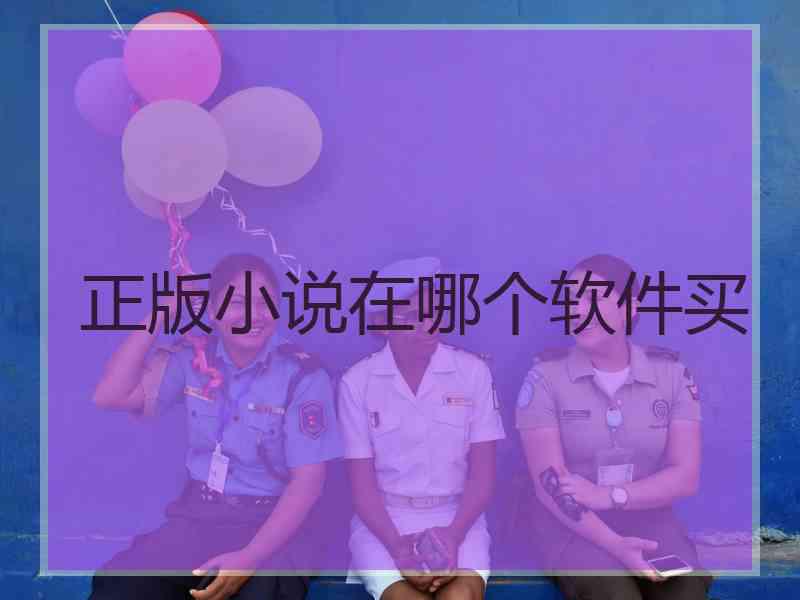 正版小说在哪个软件买 正版小说在哪个软件买